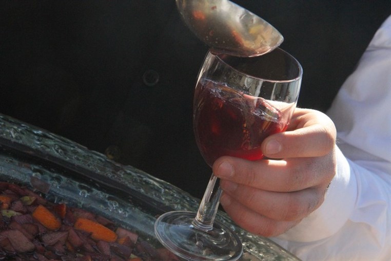 Terrebrune BBQ Winter Pool Party